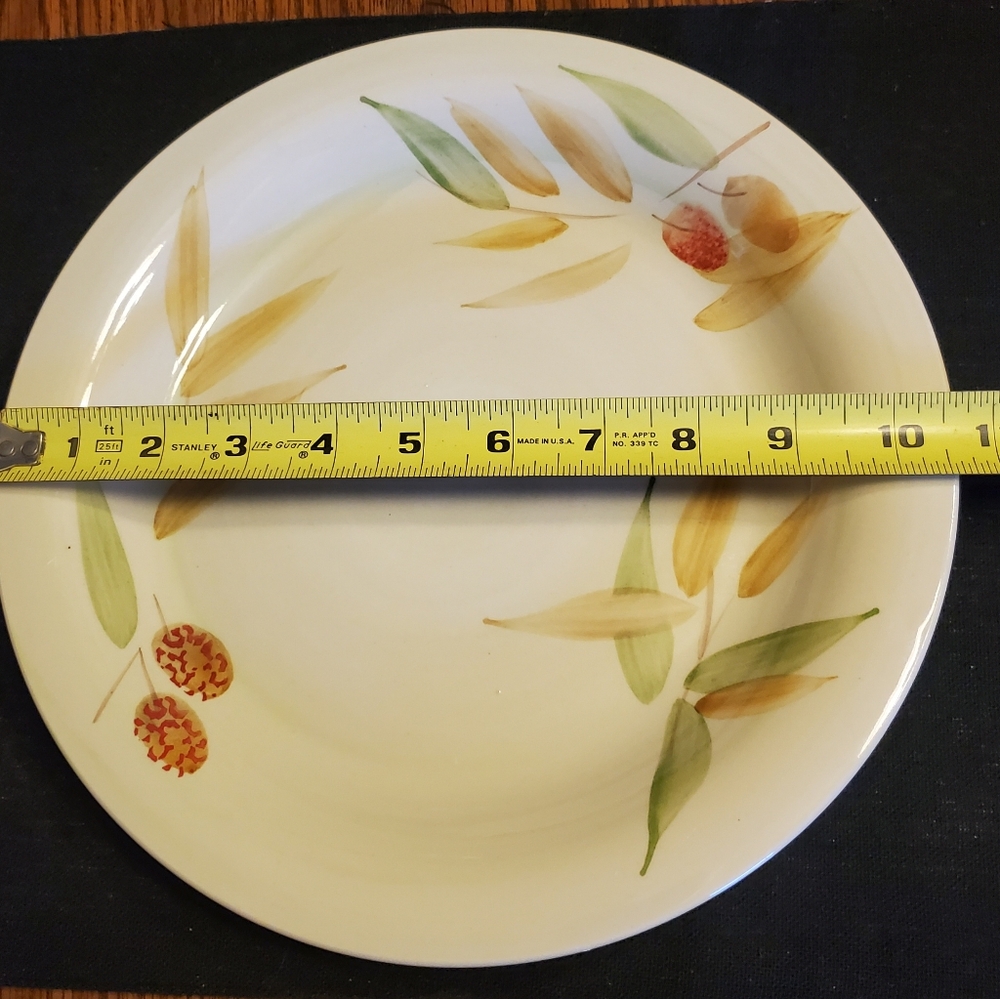 4️⃣🆕️🍃fall plates🍽🍂 - Picture 3 of 3